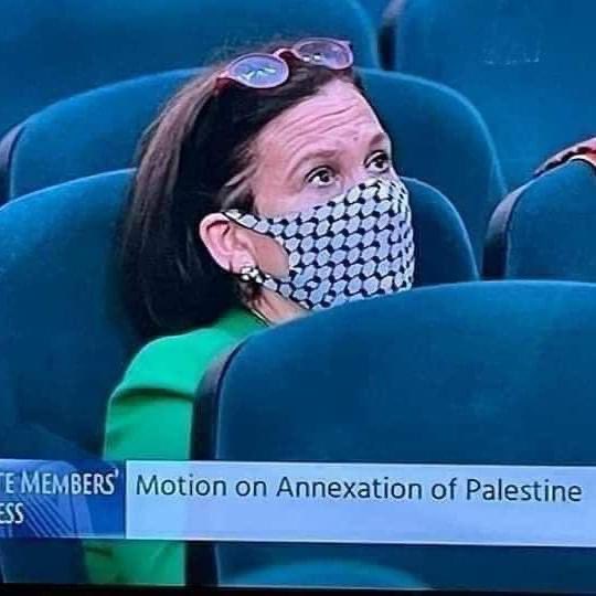 _SJPeace_'s tweet photo. Irish parliament members wearing masks with Palestinian symbols as a solidarity with Sheikh Jarrah and Palestine. 

FREE PALESTINE  ���🇪🇵🇸 https://t.co/XP11jrHSNo