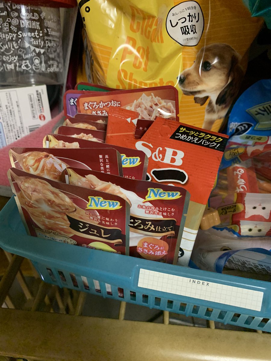てっしょう（しっぽ大好き） tweet media