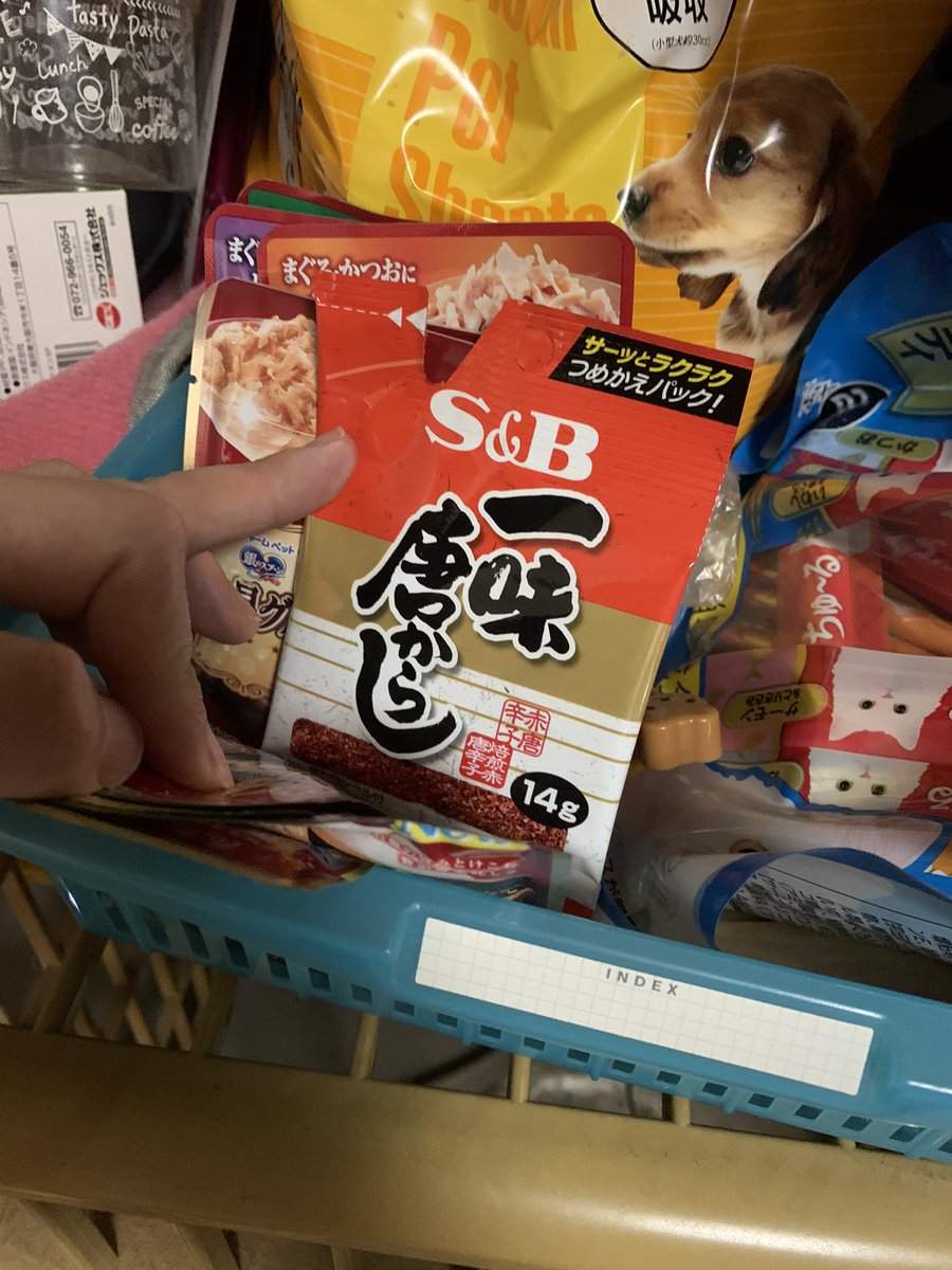 てっしょう（しっぽ大好き） tweet media