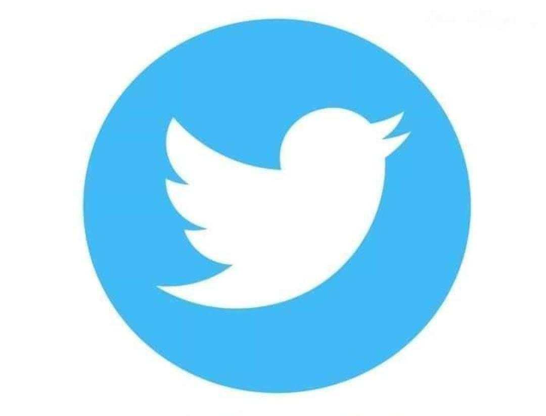 Faizan_313_'s tweet photo. सुना है शेर इस चिड़िया से डरता हे।
#TwitterIndia #IsupportTwitter #ISupportTwitterIndia https://t.co/4AkUi3w7H6