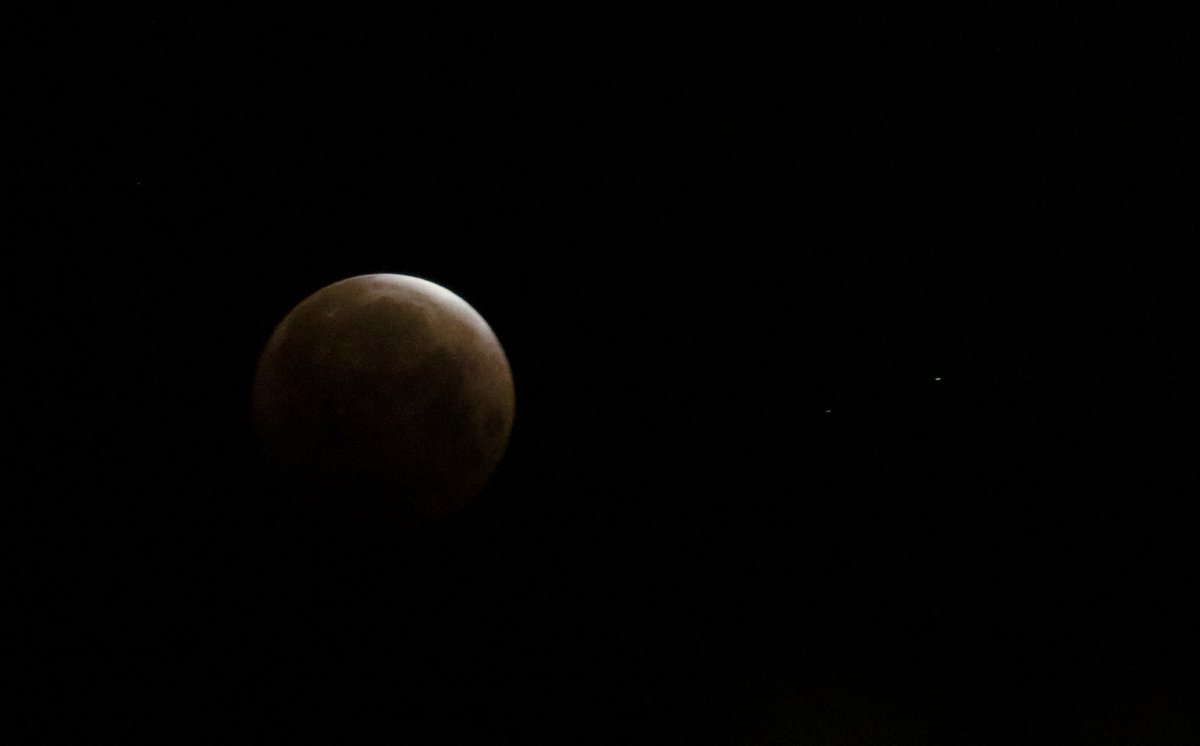 acmishra's tweet image. Incredible sight of the Super Flower Blood Moon this morning.  The partial eclipse was max at my location, at 4:18am, just hours after the Moon’s orbit reached closest to Earth.  The photo is so so, but good times!
#Moon #BloodMoon #SuperMoon #FlowerMoon #LunarEclipse #FullMoon