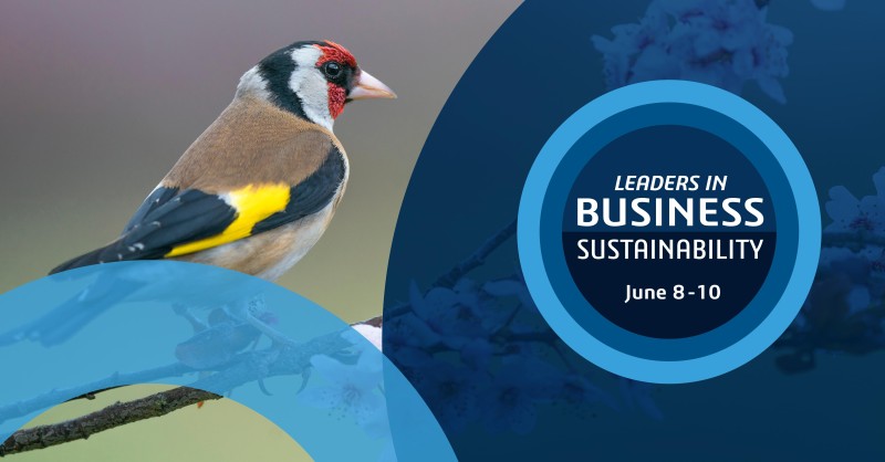 Design Rule tweet media