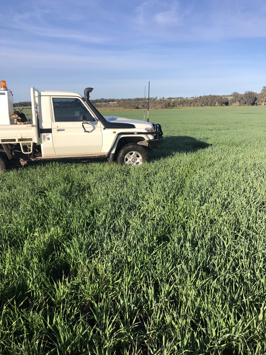 Darren Wilson tweet media