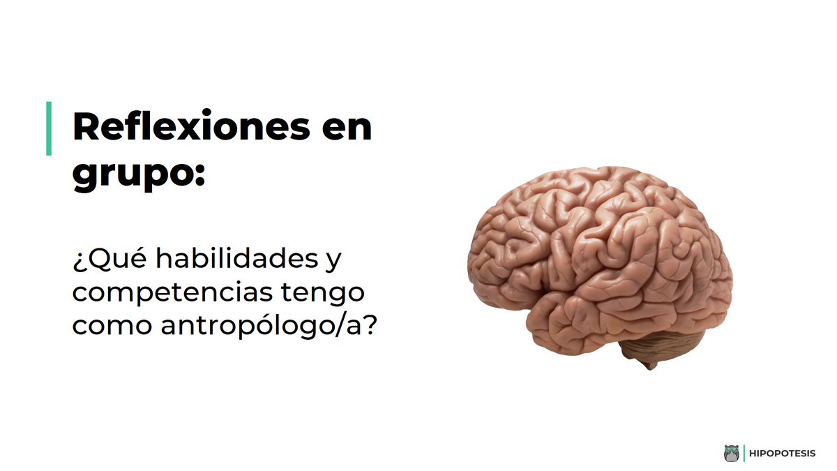 Hipopotesis tweet media