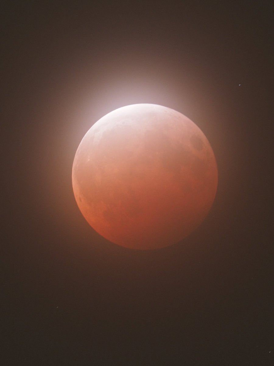 hoshikizoku's tweet image. 15秒露出でやっと色が写った
とりあえずの保険