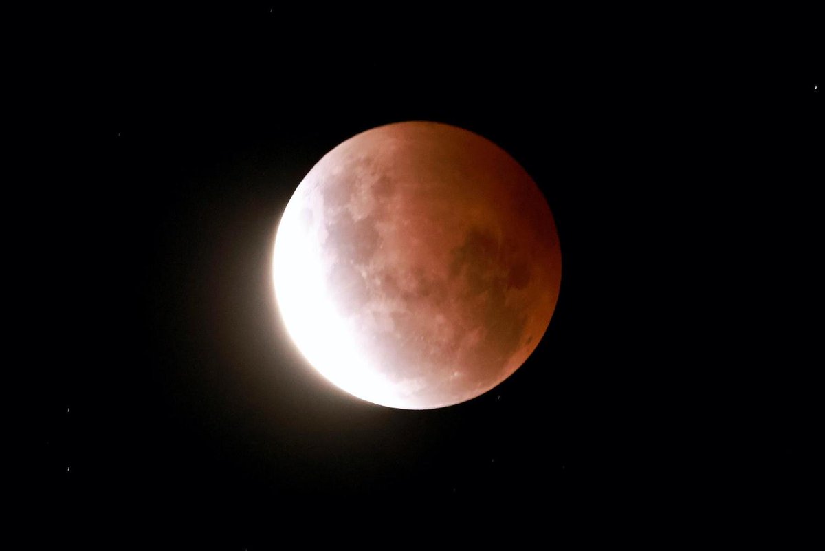 How bloody good! NZ basks in supermoon spectacle

 nzherald.co.nz/nz/all-you-nee…