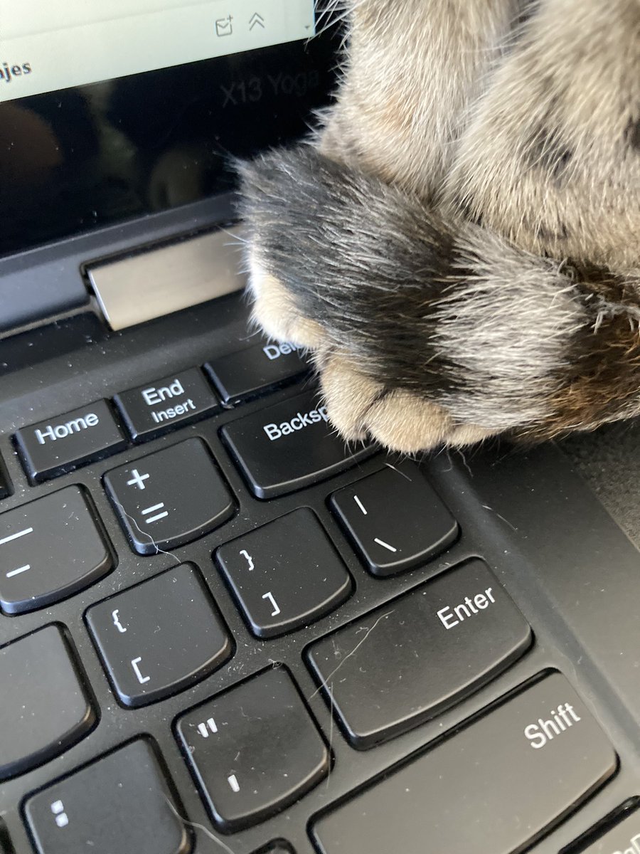 stokes_the_fire's tweet photo. My WFH boss woke up today and did not like what she saw. 😬
#DeleteEverything #StartAgain #CatsOfTwitter https://t.co/q0v3NYYddQ