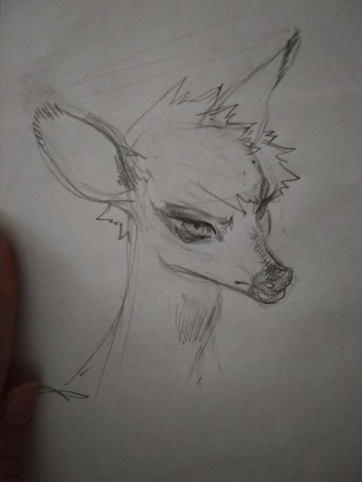 Illegal au with deers👉👈
Kacchan has horns but they so tiny 😳 you can't even see them so cute(i just lazy to draw)(deku you ugly) 