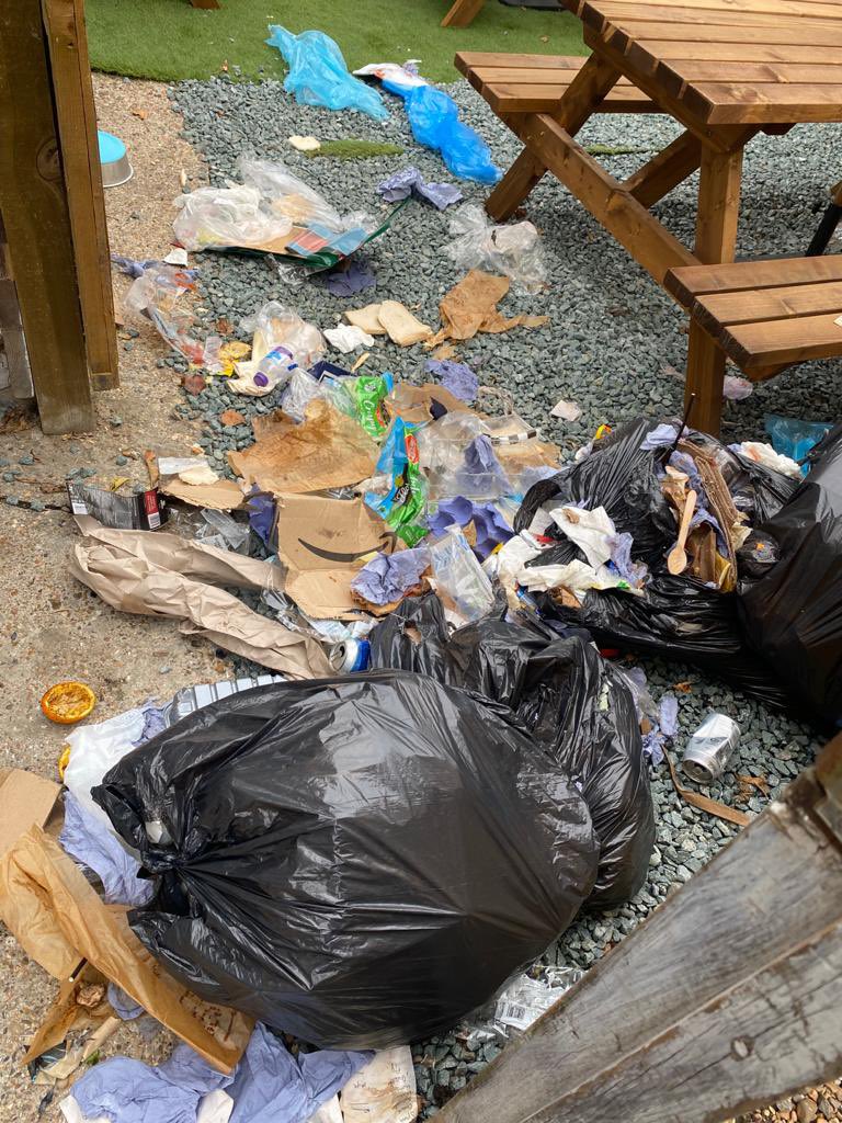 Iain Hall tweet media