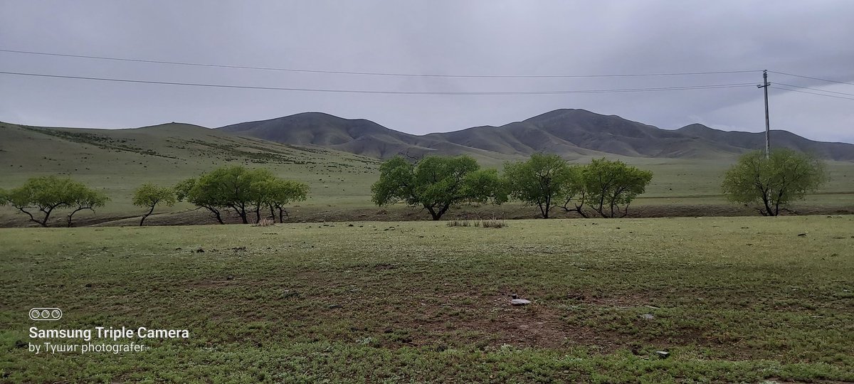 Судалбар 😜🤣