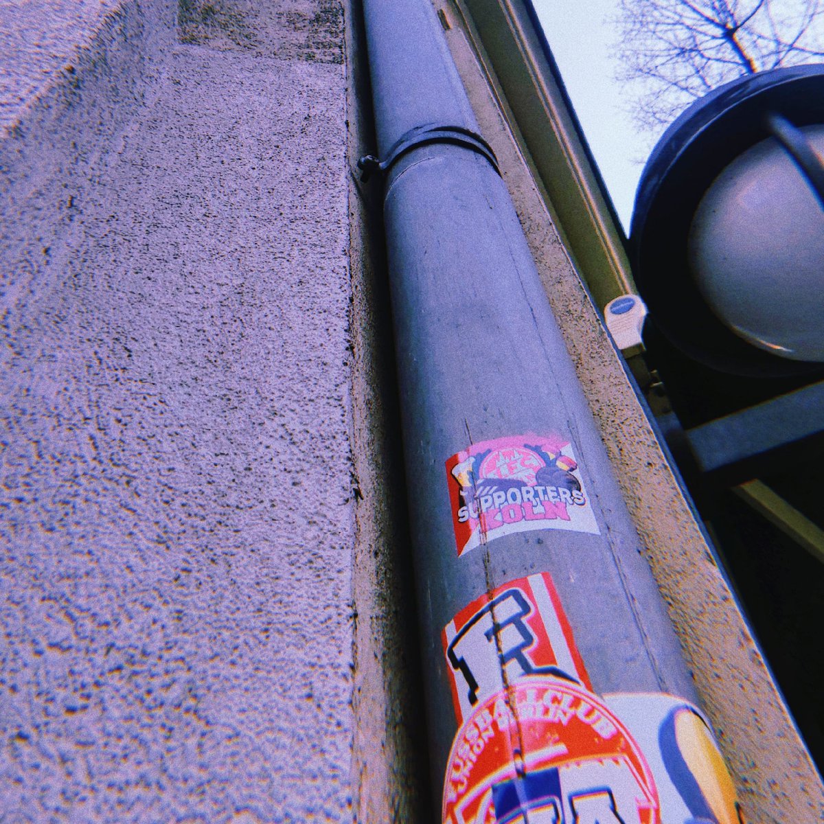 TJMPodcast's tweet photo. FC Köln 🇩🇪

@fckoeln_en

#stickerspotting https://t.co/vkIyqZINOf