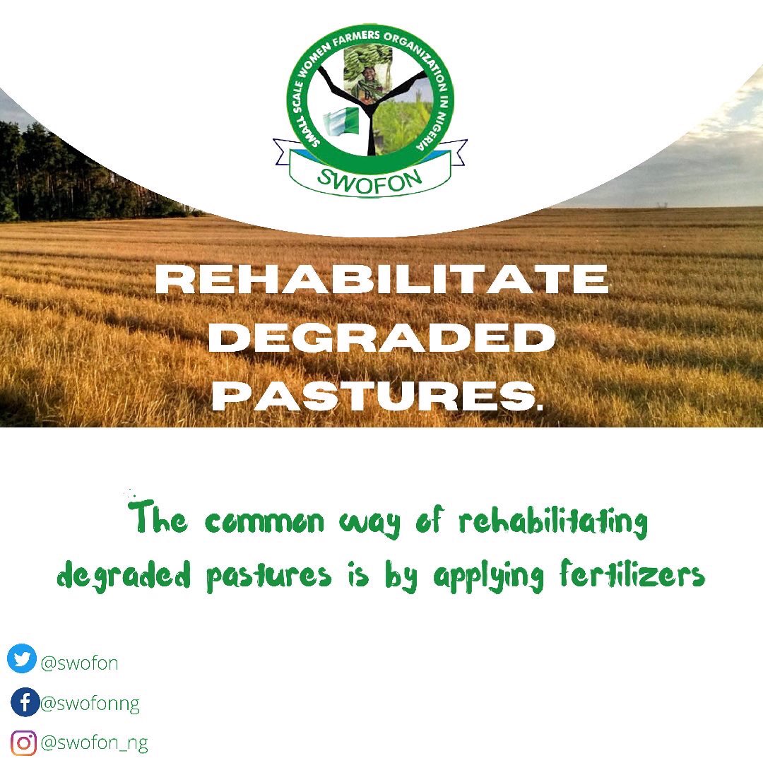 swofon's tweet photo. PART 1.
PLEASE READ THROUGH.
There are gems in every slide.
Swofon brings to you tips on how your farm can stay productive even with the unpredictable climate of Nigeria.
#swofon https://t.co/0bUNJ3xx9T