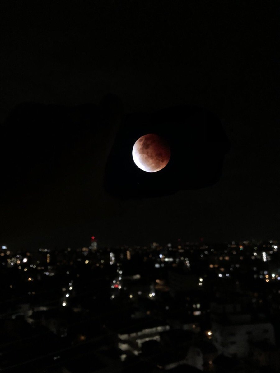 Mahometoccloue's tweet photo. 日本は低いし曇で
見えな過ぎなので
こうするしかなかった🌗
#月食 #ロイター #iphne https://t.co/mG5dZD481e
