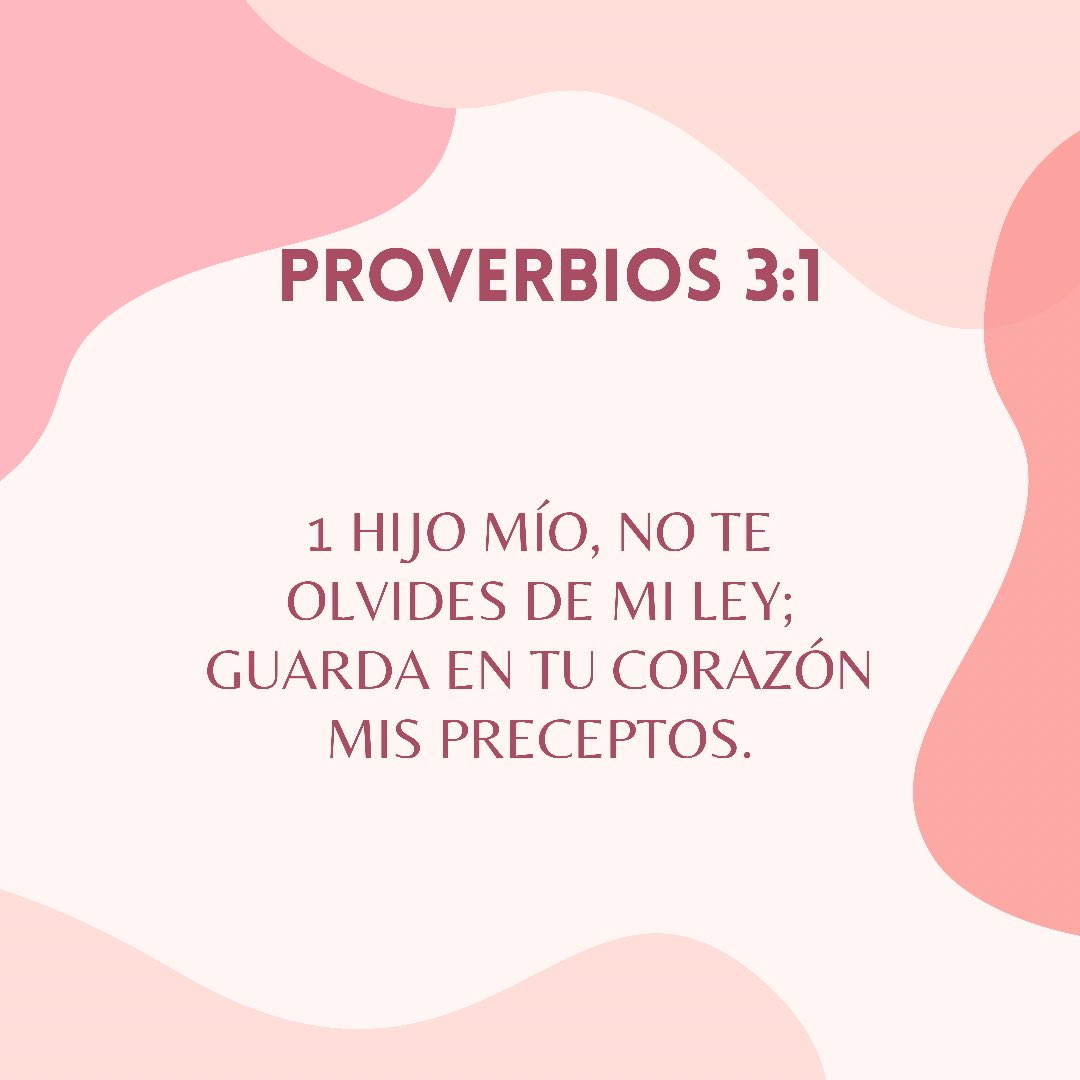 X Castillo (@xcastillo) on Twitter photo 