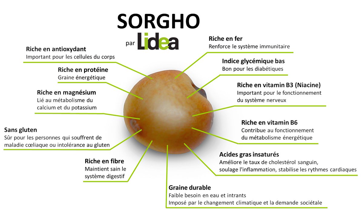 Guedjsorghum's tweet photo. Le #Sorgho et la nutrition humaine https://t.co/Ajo9WmDCd5
