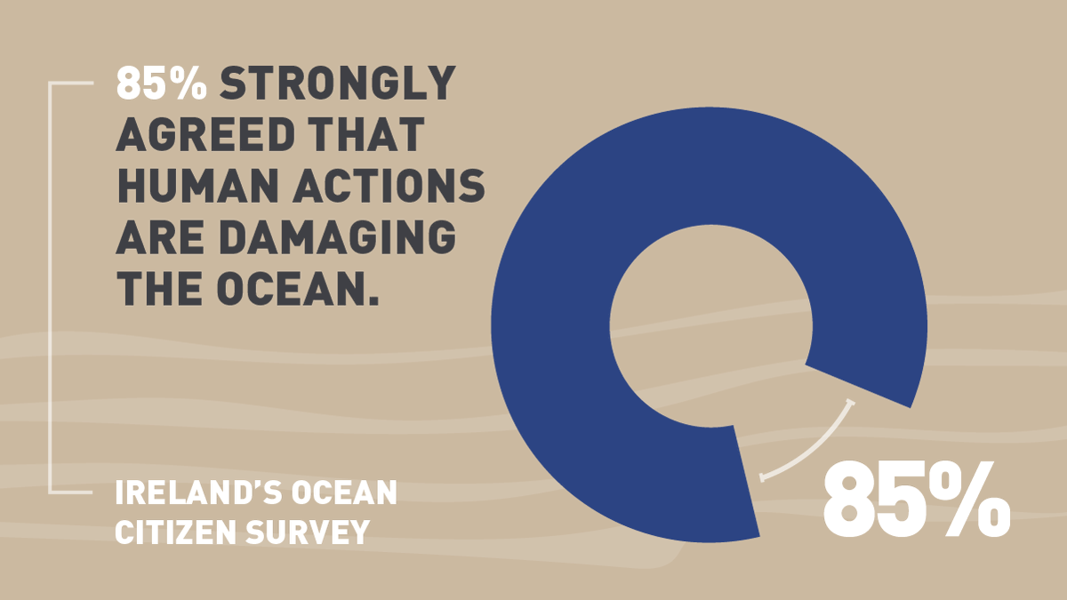 More than 1,000 people completed Ireland’s 1st Ocean Citizen Survey in 2020 and shared their views on current marine issues and priorities for the protection of the #marine #environment. 🌊
The full report can be viewed at hdl.handle.net/10793/1684