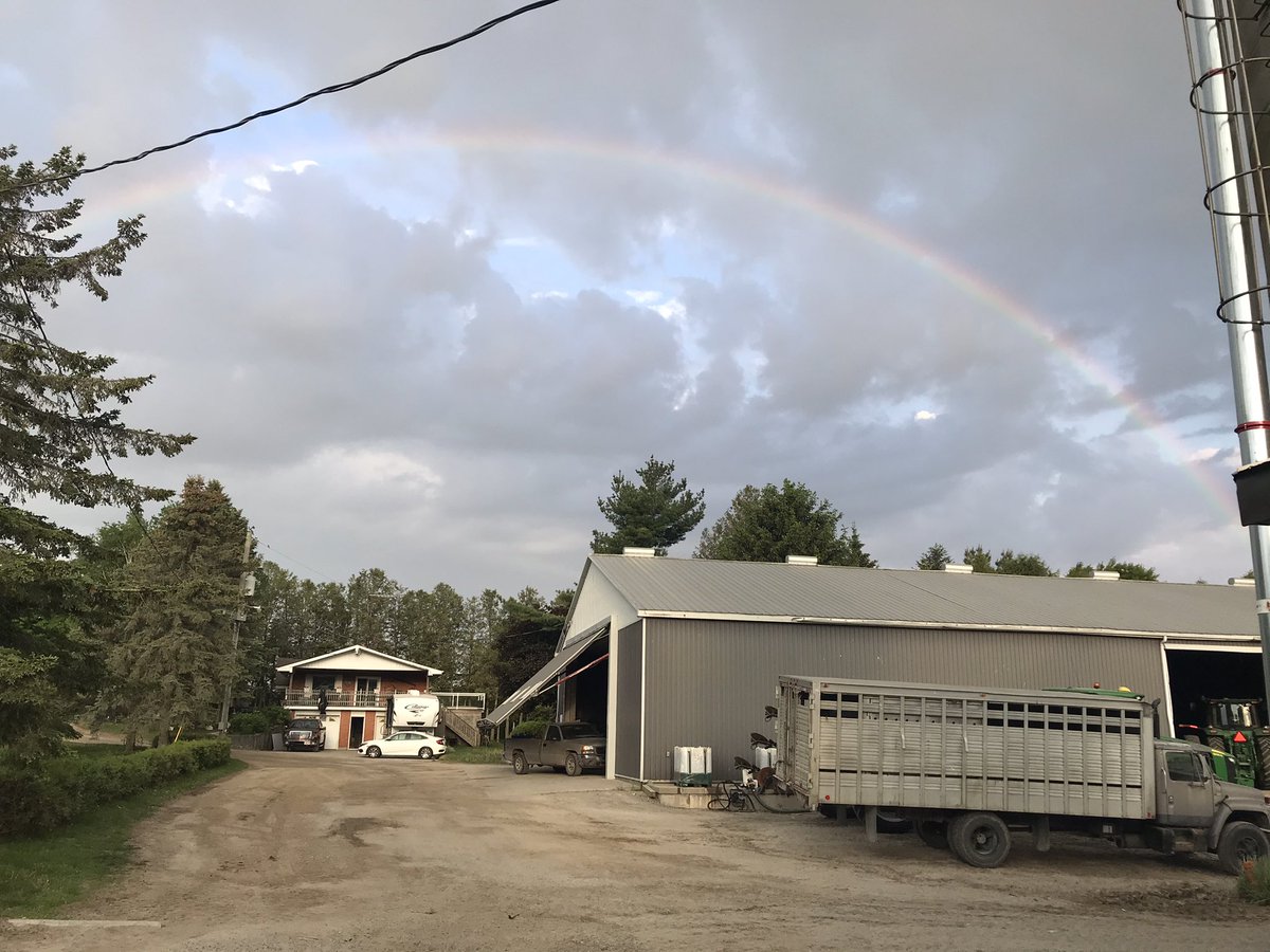 DeJongAmy's tweet photo. Great view from the feed room this morning. Too bad we didn’t get but a few drops! #beautifulmornings #barnview @Pigfarm75969491 https://t.co/sjNN588Uf3