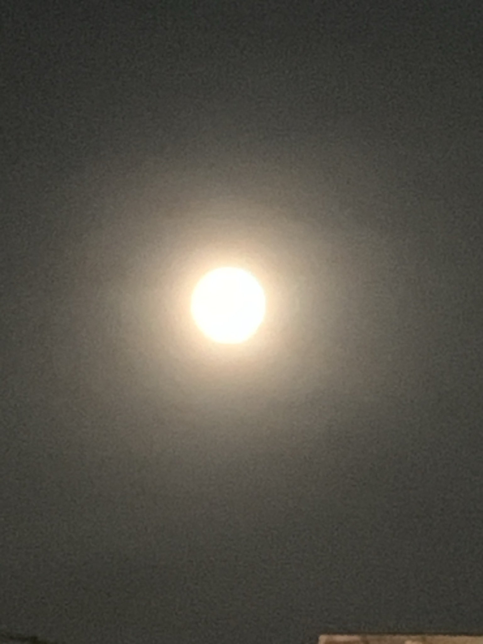 宇徳敬子 スタッフ 公式 こんばんは 今夜は 皆既月食 昨夜のお月さま をパシャリ Fullmoon 射手座満月 時14分 お財布フリフリ みんなでフリフリ 雨でも曇りでも 雲の上には光輝いている 今日も幸せの貯金を ツイキャス 22時