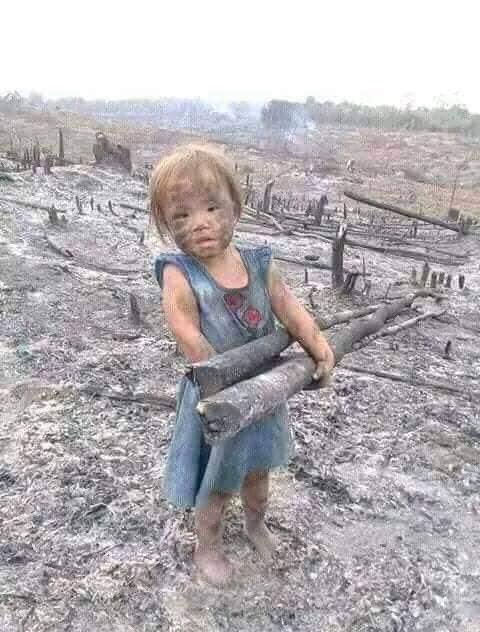 Nyi12905735's tweet photo. Myanmar Kayak https://t.co/xG4v0IoSYl