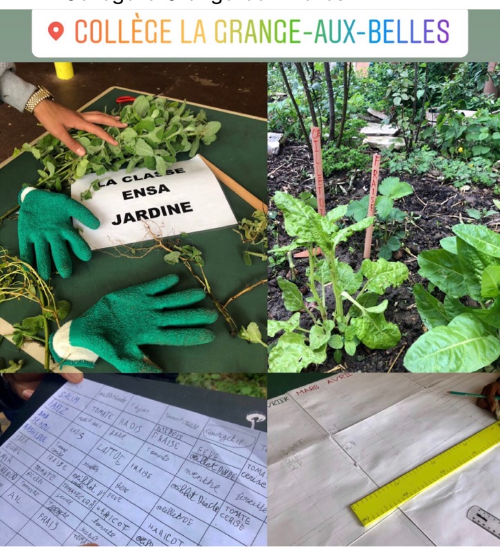 L'atelier jardin du <a href="/clgGAB10/">Collège De La Grange Aux Belles 75010</a> se poursuit avec les élèves non francophones de la classe ENSA. Belle implication de la part de ces enfants très motivés