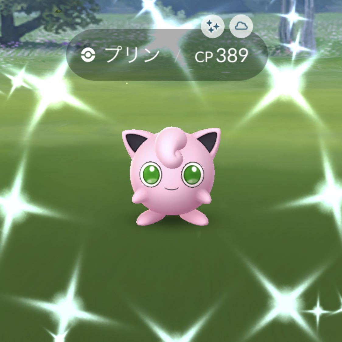 はち ポケモンgo 今日は野生でプリン いぇーい プリン色違いだいぶ入手しやすくなりましたよねー ポケモンgo