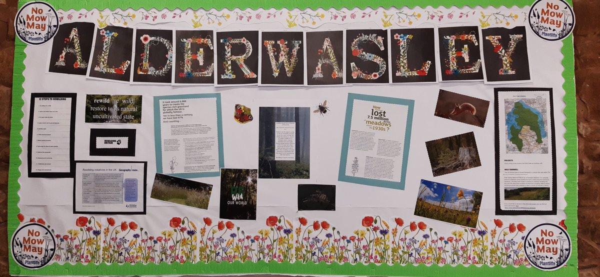 AHSBernardoVega's tweet photo. Our student Council at @AlderwasleyHall  is leading an initiative on re-wilding our Upper Site. As well as sowing wild flower seeds, they have negotiated a 'mowing truce' for parts of our garden. #rewilding https://t.co/OaRmsmPSZi