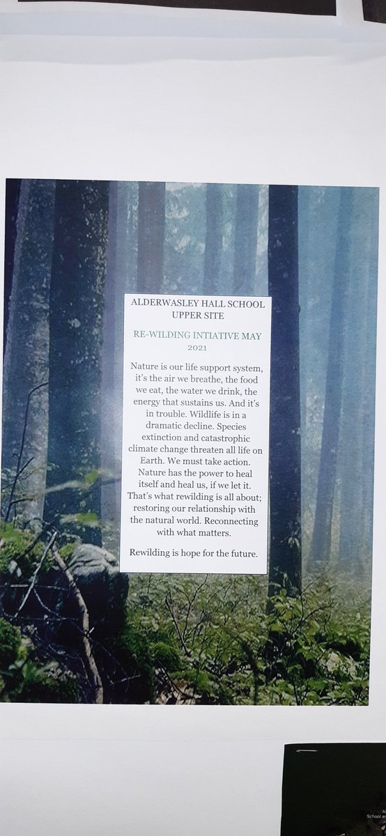 Our student Council at <a href="/AlderwasleyHall/">Alderwasley Hall School</a>  is leading an initiative on re-wilding our Upper Site. As well as sowing wild flower seeds, they have negotiated a 'mowing truce' for parts of our garden. #rewilding