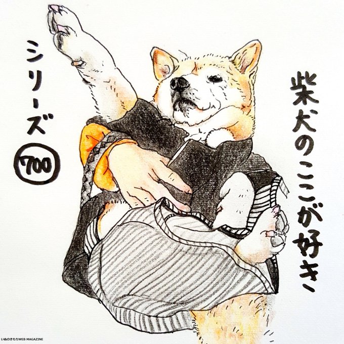 /
連載「ここ掘れここ柴」
100話を迎えました!
\

記念すべき100話の柴犬あるあるは『なかなか折れない、意志が強いところ』!
みなさんの愛犬も、"武将感"を出してくるとき、ありませんか?

これからも「ここ掘れここ柴」を応援してくださいね♪

▼100話を読む
https://t.co/7tFui2V1ol 