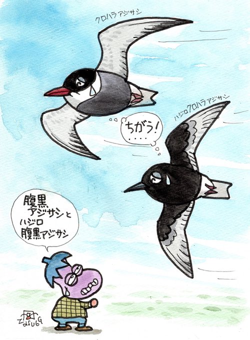 先日腹黒い鳥を見てきた。 
