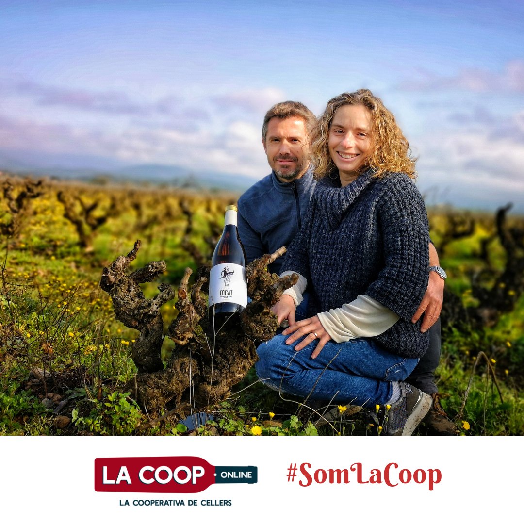 LaCoop.online (@lacooponline) on Twitter photo 💯Tocat de l'Ala, vins de conreu integrat i sostenible, de garnatxes i carinyenes velles que neixen en sòls de pedra foguera i pissarres, i el toc de la tramuntana.
👉Descobreix-los i viu l'#Empordà a #LaCoopOnline i a #LaCoopBCN lacoop.online/tocat-de-lala/
<a href="/tocatdelala/">Tocat de l'Ala</a> #SomLaCoop 💯Tocat de l'Ala, vins de conreu integrat i sostenible, de garnatxes i carinyenes velles que neixen en sòls de pedra foguera i pissarres, i el toc de la tramuntana.
👉Descobreix-los i viu l'#Empordà a #LaCoopOnline i a #LaCoopBCN lacoop.online/tocat-de-lala/
<a href="/tocatdelala/">Tocat de l'Ala</a> #SomLaCoop