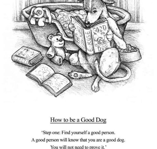 Williamof Kent (@williamofk) on Twitter photo 