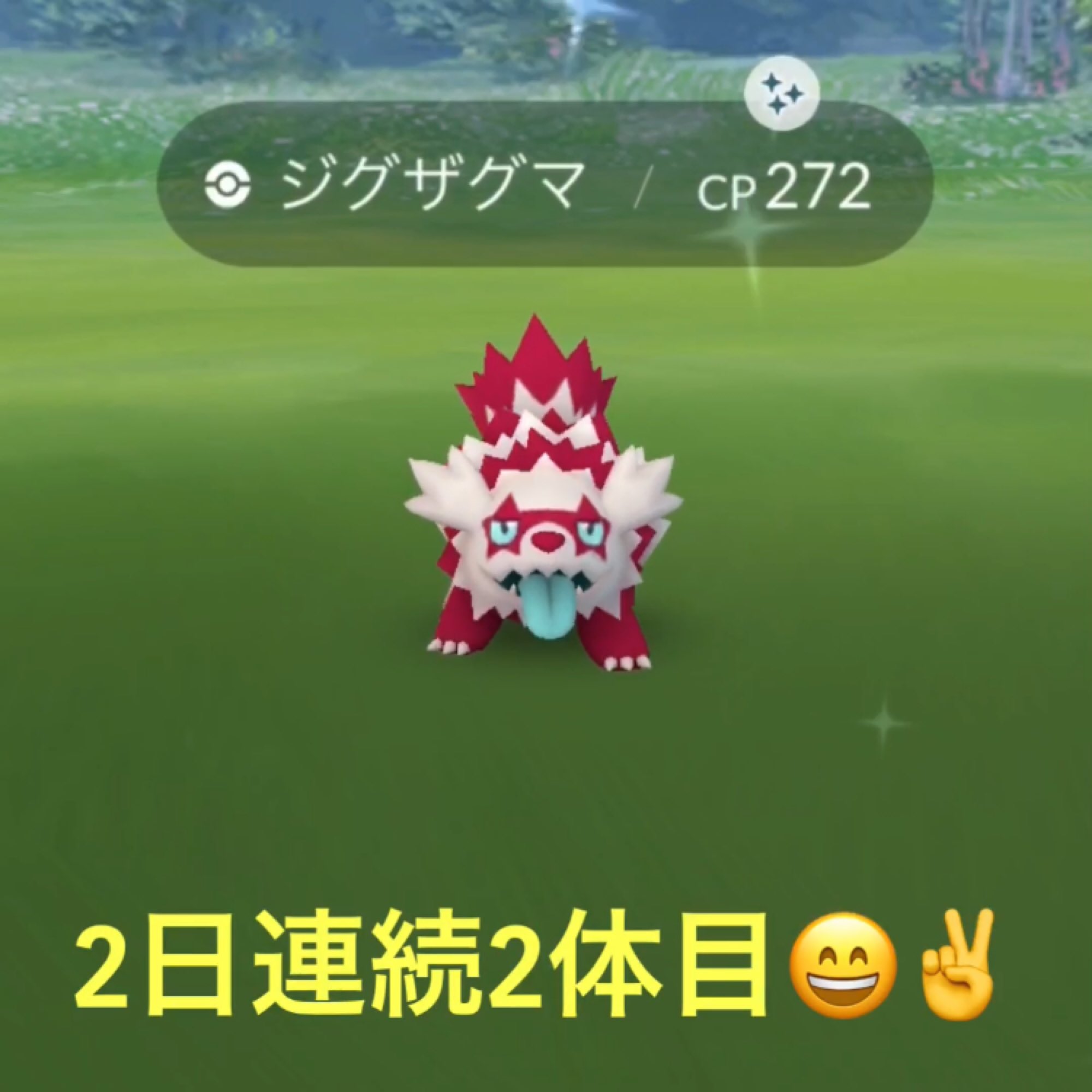 色違いガラルジグザグマ Twitter Search Twitter