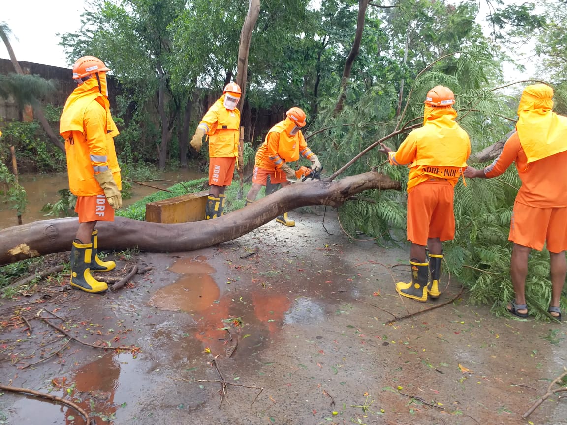 IPR_Odisha's tweet photo. ପାରାଦ୍ବୀପ ଅଞ୍ଚଳରେ ବାତ୍ୟା ୟସ୍‌ର ପ୍ରଭାବରେ ପଡିଯାଇଥିବା ଗଛଗୁଡିକୁ କଟାଯାଇ ରାସ୍ତା ଅବରୋଧ ହଟାଯାଉଛି। ଏନ୍‌ଡିଆର‌୍‌ଏଫ୍‌ର ଏବଂ ଓଡ୍ରାଫ୍‌ର ଏକାଧିକ ଟିମ୍ ତ୍ବରିତ ପଦକ୍ଷେପ ଗ୍ରହଣ କରି ଅବରୋଧ ହଟାଇବା କାର୍ଯ୍ୟ ଜାରି ରଖିଛନ୍ତି। #OdishaFightsYaas https://t.co/DCN7T2L5SY