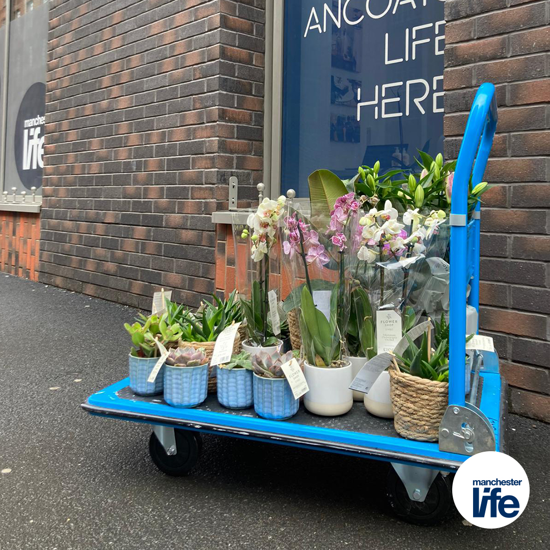 MCRLifeUK's tweet photo. New additions 🌿🌸🌱🌻🌺🎋🍃🌼🌸
Making sure our communal spaces are kept fresh, bright and bloomin’!

#FreshFlowers #HousePlants #CommunalSpaces #McrLife #Ancoats #AncoatsManchester #ManchesterLife https://t.co/TruUGrYIQV