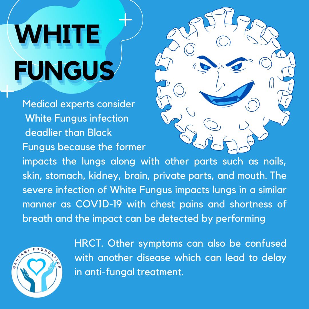 GautamiFoundat1's tweet photo. 𝙍𝙚𝙖𝙙 𝙖𝙣𝙙 𝙎𝙝𝙖𝙧𝙚 as much as possible 
Swipe >>>
.
General Awareness is necessary spread this post as much as possible. 
#WhiteFungus #india #awarness #help #COVID19 https://t.co/Xl63n5fpzW