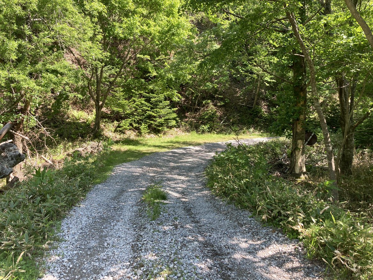 あ꙼̈っー𓆉 ˖* tweet media