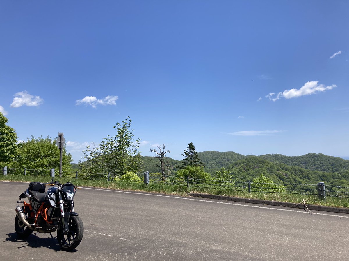 あ꙼̈っー𓆉 ˖* tweet media