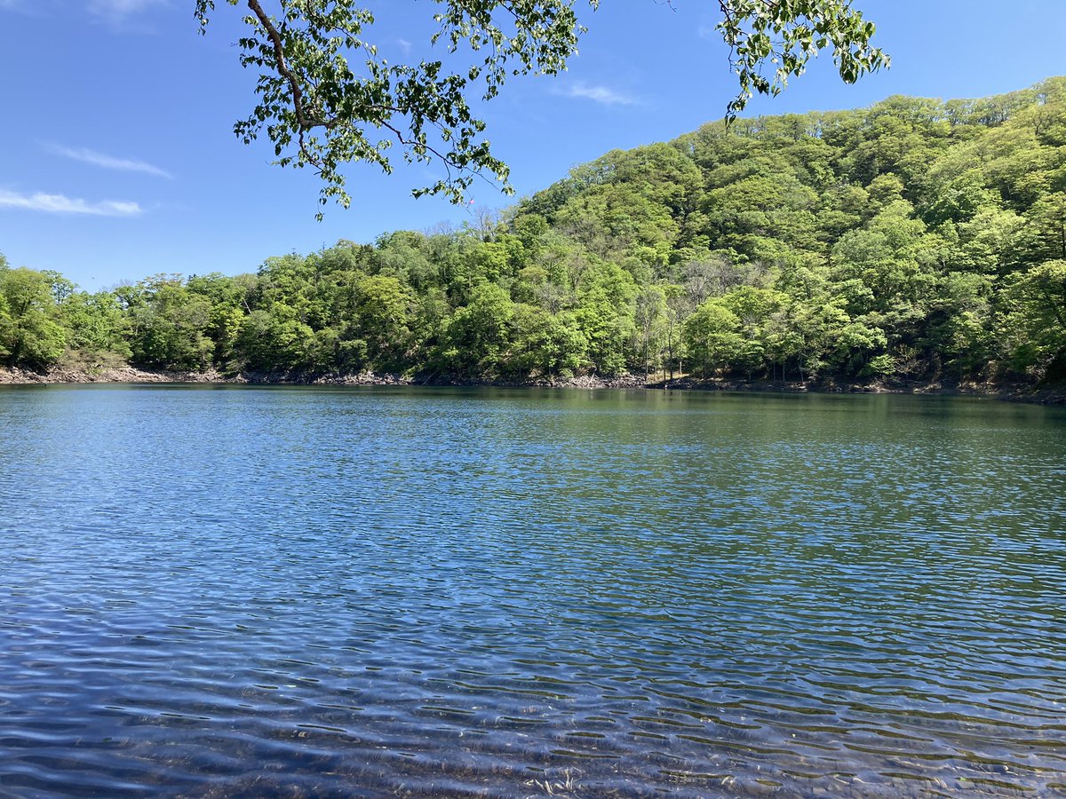 あ꙼̈っー𓆉 ˖* tweet media