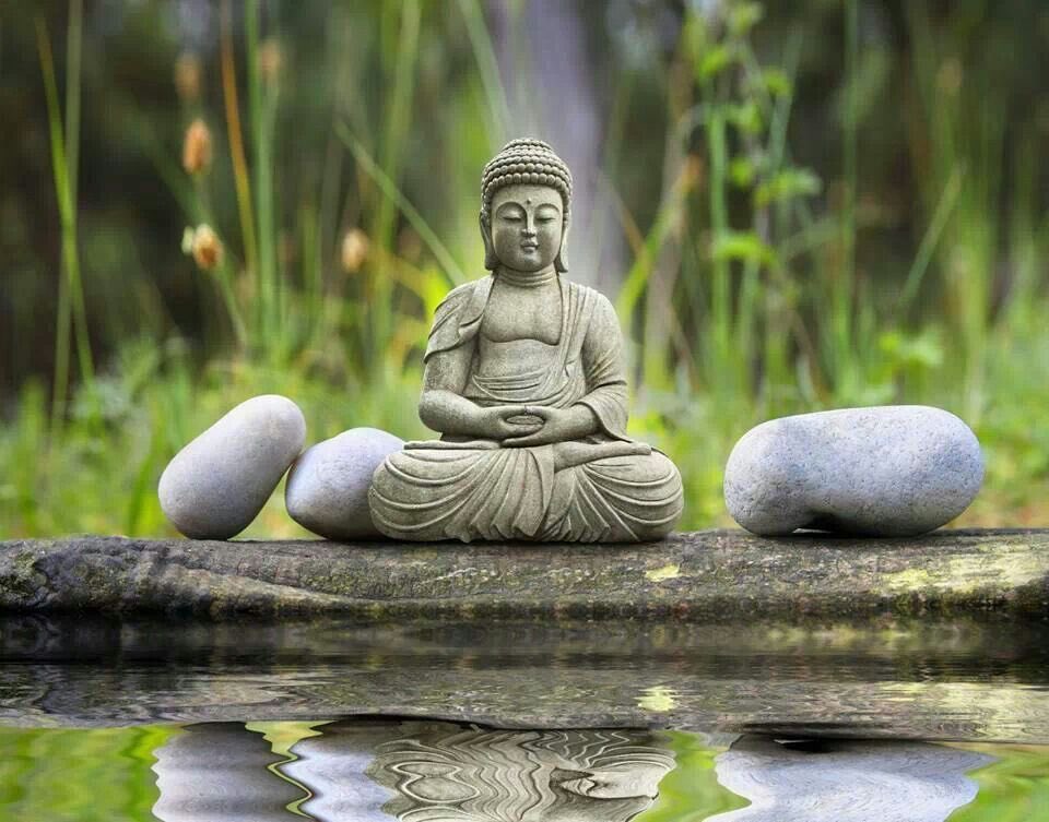 Siddhu________'s tweet photo. Budham Shrnam Gachami 🙏#BuddhaPurnima #बुद्ध_पूर्णिमा https://t.co/YcJUc5D2TT