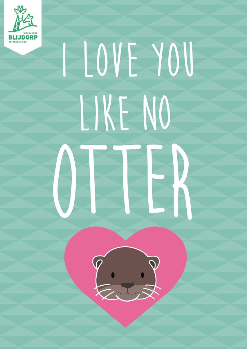 Vandaag is het #wereldotterdag! 🦦 Bezoek eens onze otter Jacco in de Chinese sfeertuin. Binnenkort arriveert er een vrouwtje uit Warschau. 2021 is ook het Jaar van de Otter; kijk hoe jij kunt helpen: jaarvandeotter.nl #internationaledagvandeotter #biodiversiteit