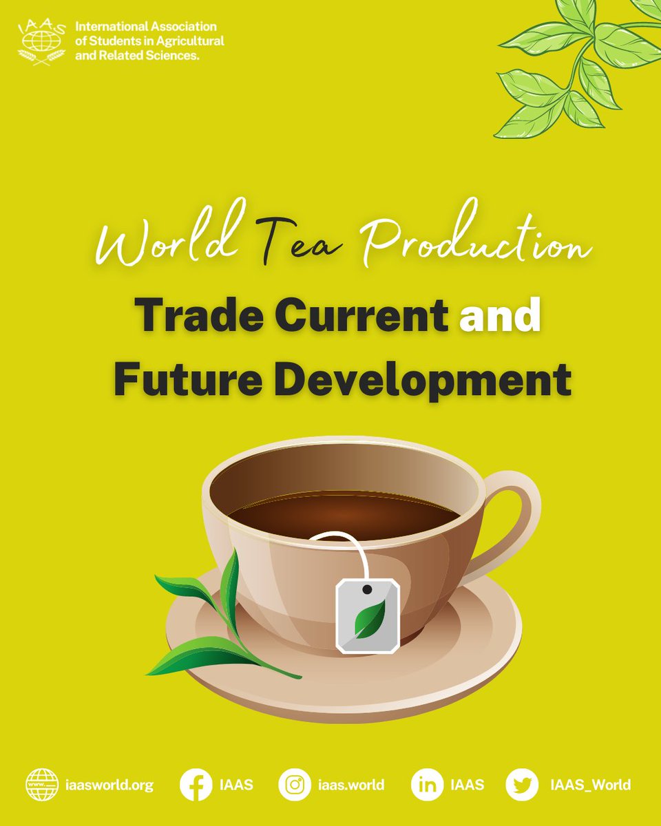 IAAS_World's tweet photo. #WorldTeaProduction
Tea is one of the most manufactured drinks most consumed in the world. here we have some facts about the production and trade situation for tea
#Tea #TeaCrop #TeaPlant https://t.co/KxuYJBjymR
