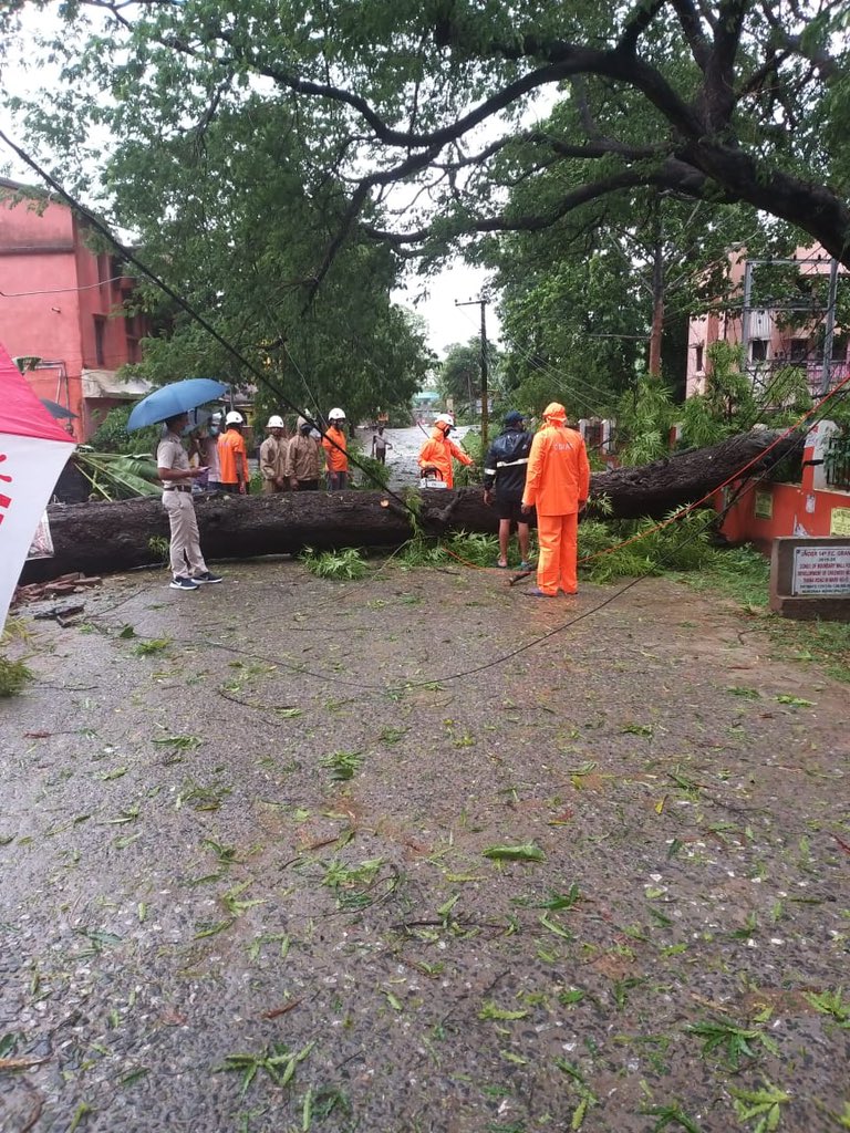 SpBhadrak's tweet photo. Road Clearance by ODRAF in Bhadrak Town Area . @CharanMeena_IPS @SpBhadrak @igerbalasore @odisha_police https://t.co/zMCBXy3FGt