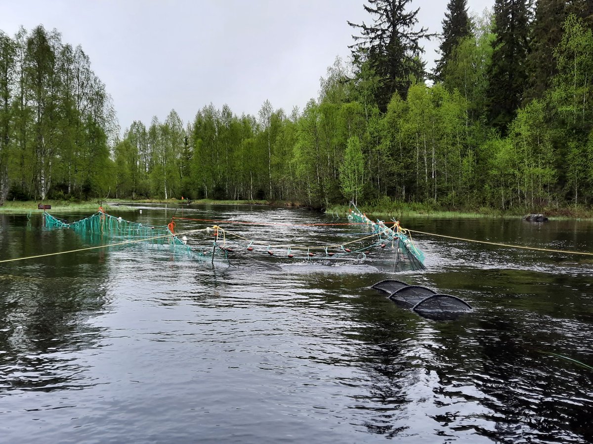 Jaakko Erkinaro tweet media