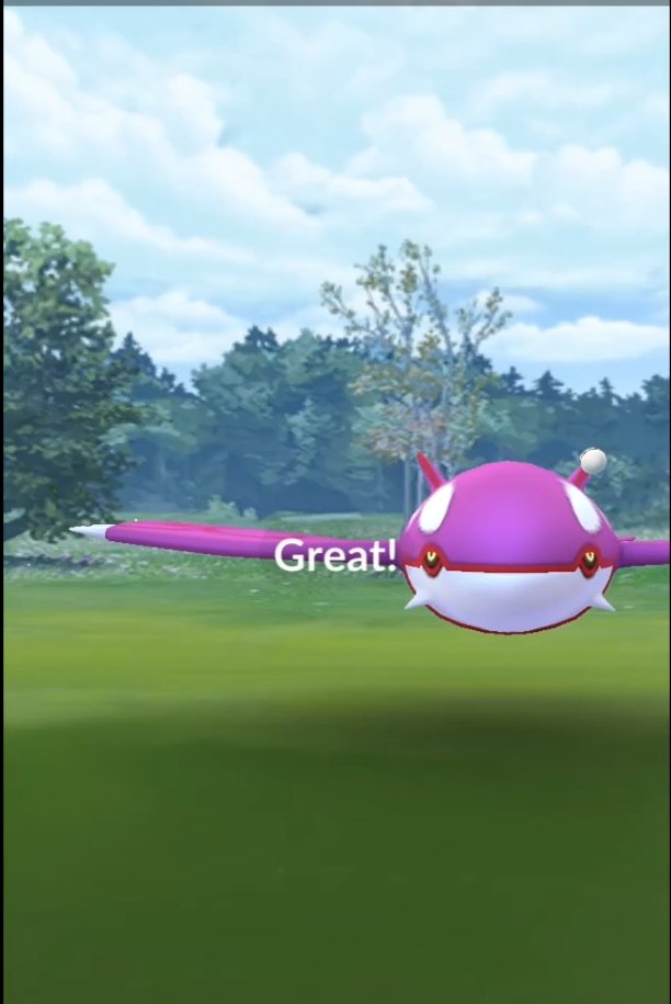 Jinzen_'s tweet photo. @MYSTIC7 Cri me a river mate, i lost several shinies in raids.
Niantic never did anything about it.
#NeverForget https://t.co/bguUBaEMnS