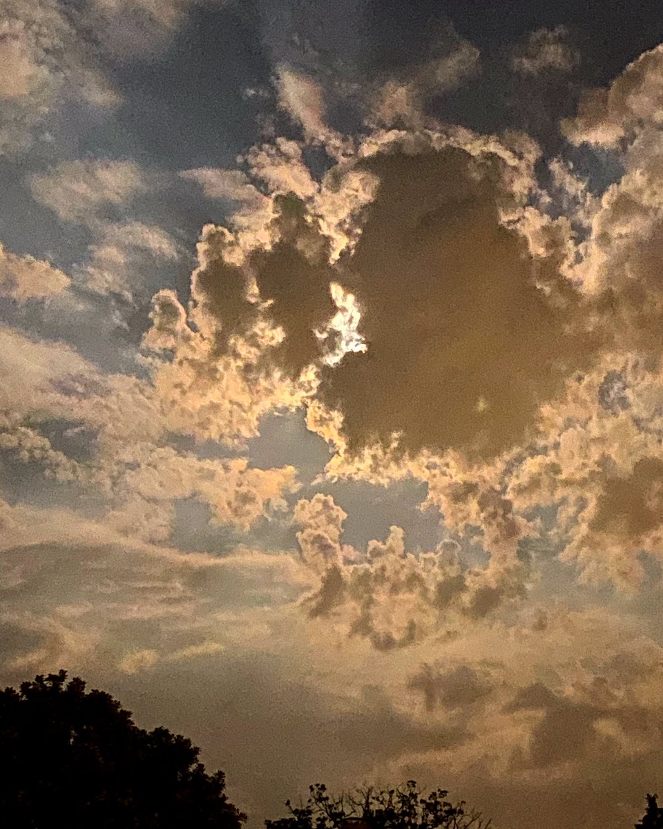 FOX19Catherine's tweet photo. I hope the clouds don’t block my view of the #superflowerbloodmoon 🌚 The eclipse will start at 5:44am and end at moon set at 6:19am. I’ll be broadcasting this morning from the #CincinnatiObservatory — hopefully we can see it! Tune into @FOX19 📺 https://t.co/GQ2UcenKal