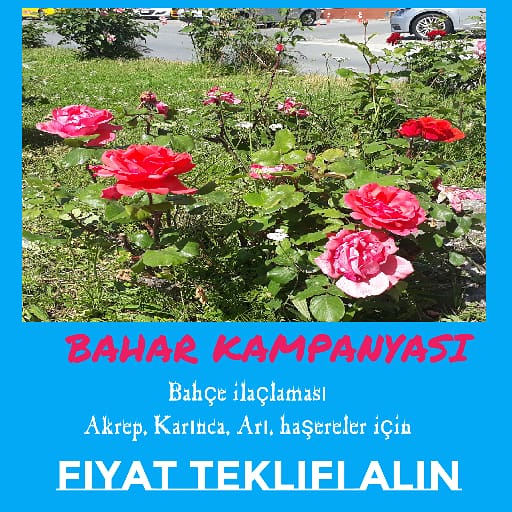 Bahar kampanyası bahçe ilaçlaması
Akrep ilaçlama karınca ilaçlama sinek Ilaçlama böcek ilaçlama #böcekilaclama #dezenfeksiyon #hasere #evilaclama #istanbul  #bagcilar