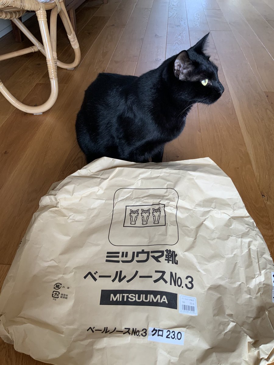 草間 さかえ Penpen Kusa Twitter 草間 さかえ Penpen Kusa Twitter