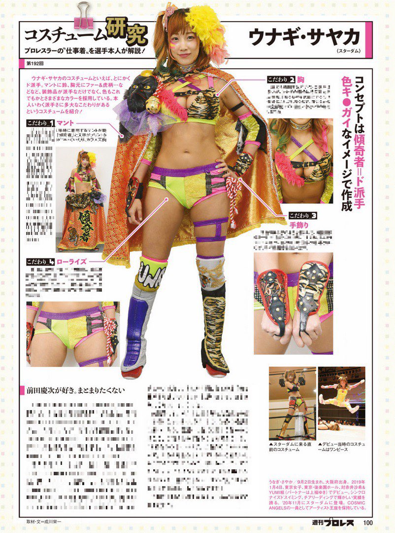 🔷 5・23甲府大会の試合リポート掲載 コスチューム研究にウナギ