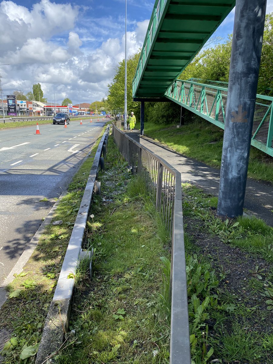 A.E.Yates Liverpool tree cutting