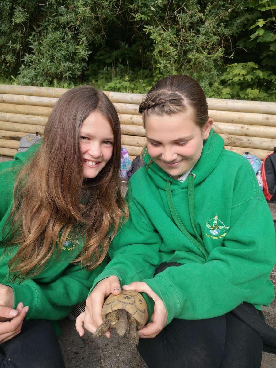 bps_y6's tweet photo. We are loving getting to know Elmer and Cyril. #tortoisepower https://t.co/KsuLONkr7H